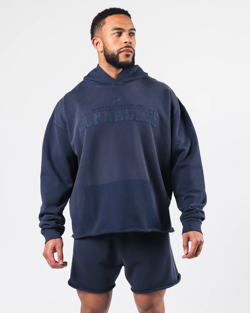 Alphalete Sunfade Hoodie - Nocturnal