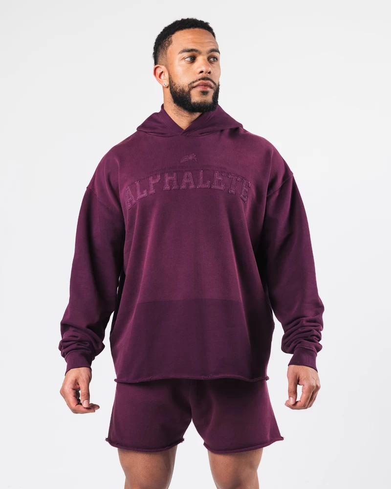 Alphalete Sunfade Hoodie - Regio