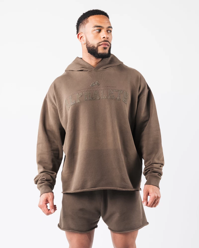 Alphalete Sunfade Hoodie - Crater
