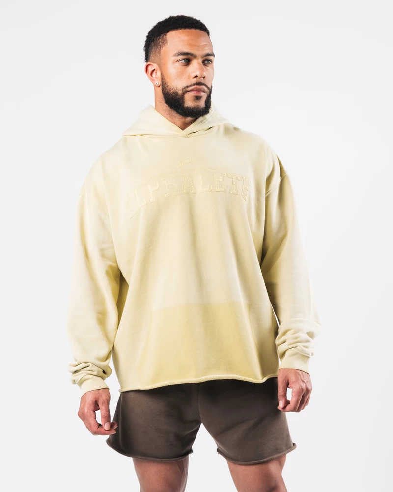 Alphalete Sunfade Hoodie - Starlight