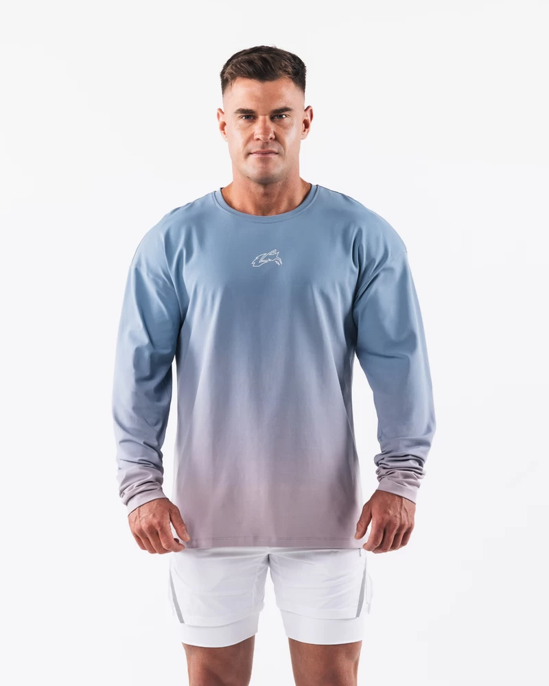 Alphalete Wolf Head Ls Tee - Stille Vandgradient