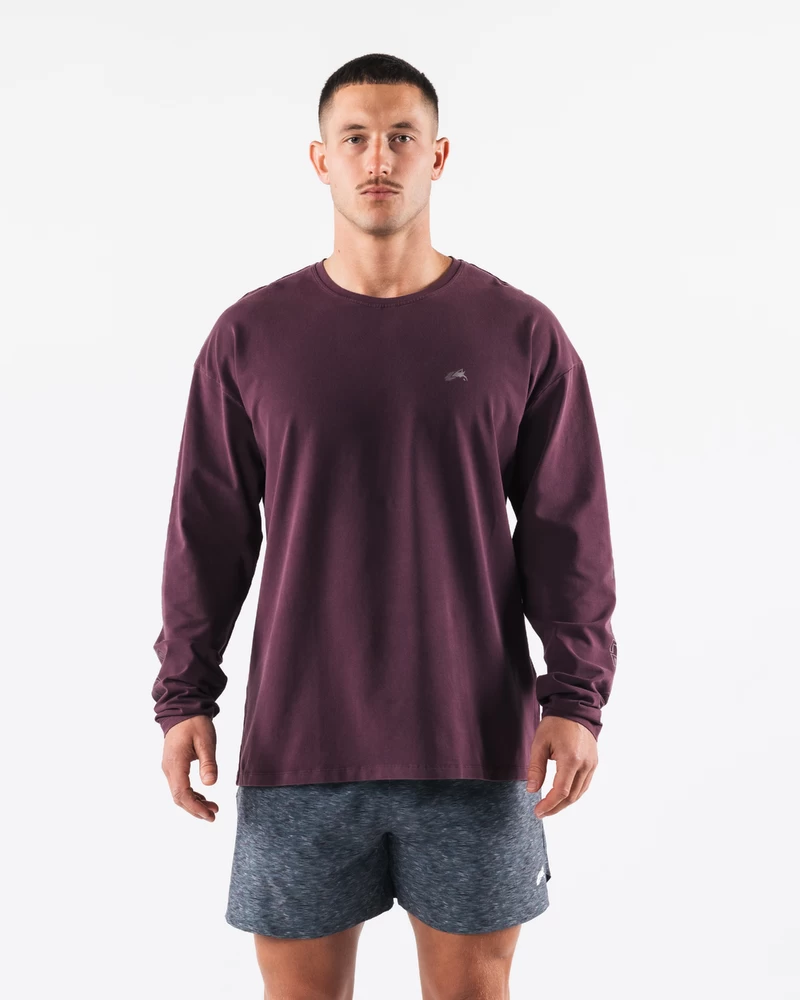 Alphalete Dihati Več Ls Tee - Murva