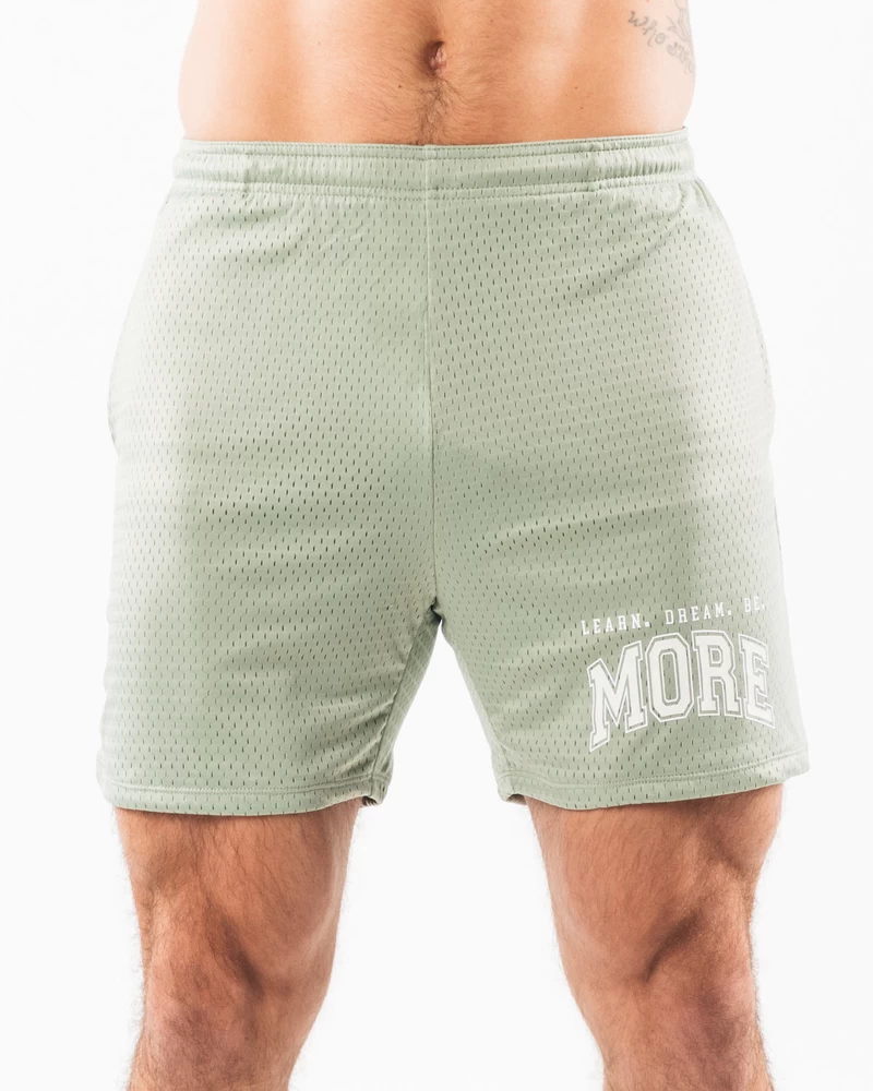 Alphalete LDB شورت شبكي أكثر 6 بوصات - حكيم
